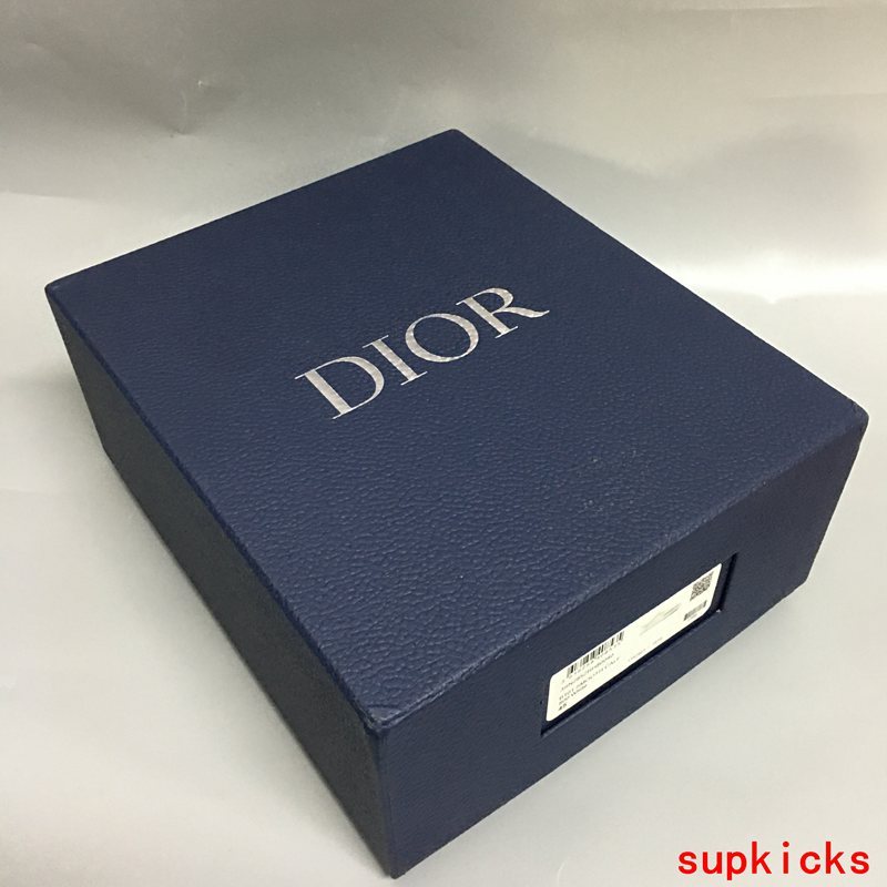 Dior shoes Style 013 - styled lifestyle view (alternate angle)