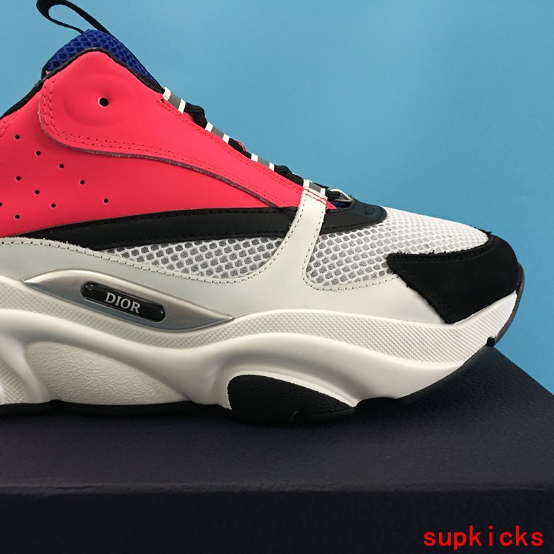 Dior Grey Low-Top Sneakers - Angled View