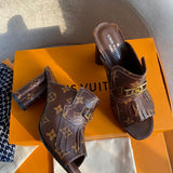 Louis Vuitton shoes front view designer style