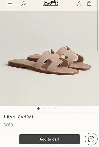 Hermès Chocolate Brown Flat Thong Sandals - Back View