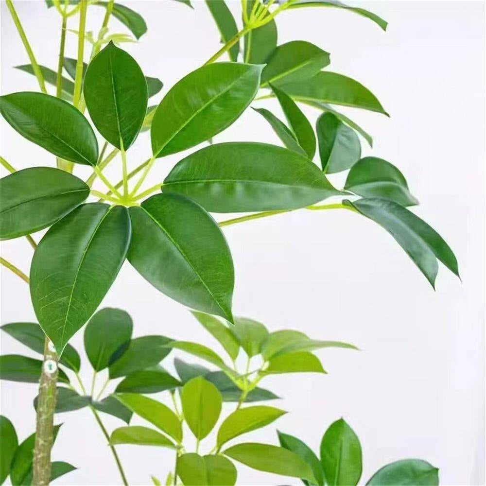 5. 2 Ft. Tall Artificial Tree ，Umbrella Fake Plants Artificial Plants