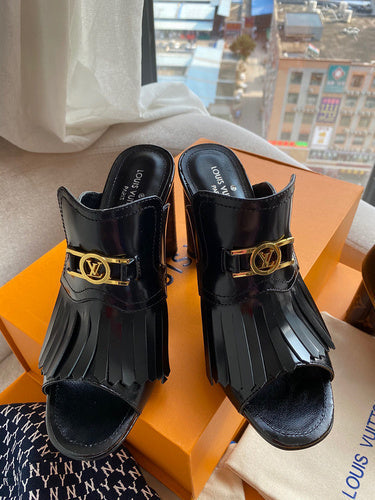 Louis Vuitton designer shoes full view