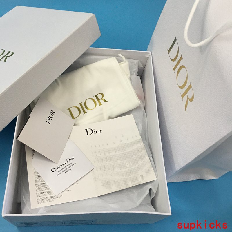 Dior shoes Style 035 - logo and branding close-up (alternate angle)