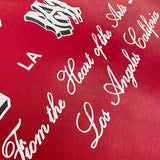 Amiri designer t-shirt full view