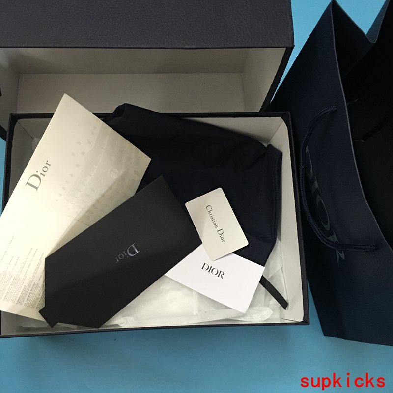 Dior Grey Low-Top Sneakers - Angled View