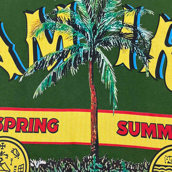 Amiri designer hoodie full view