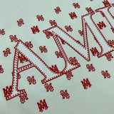 Amiri designer t-shirt full view