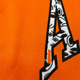 Amiri luxury hoodie detail shot