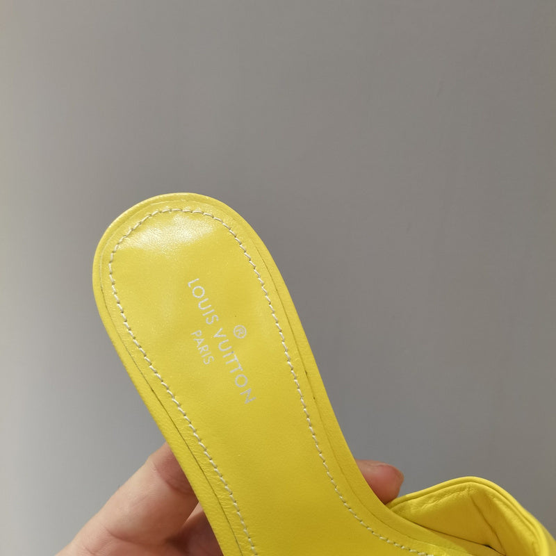 Louis Vuitton shoes Style 225 - top view showing design