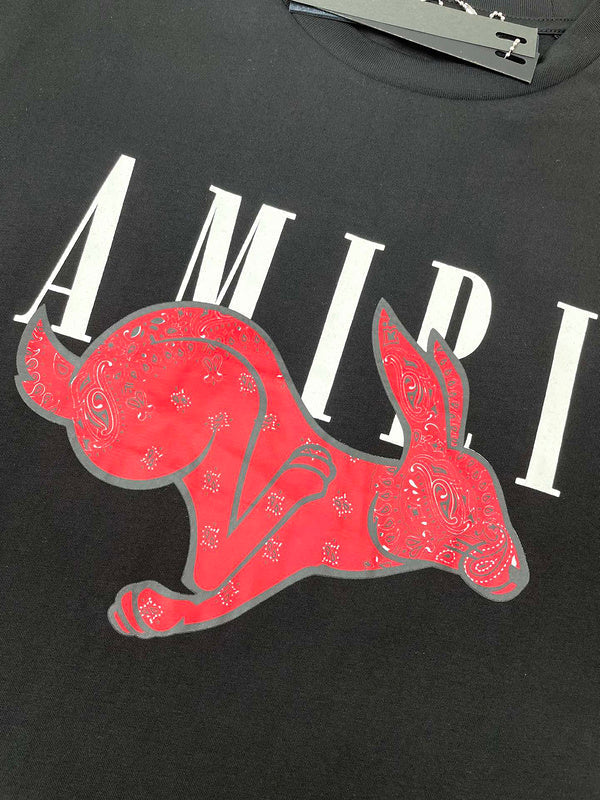 Amiri designer t-shirt full view