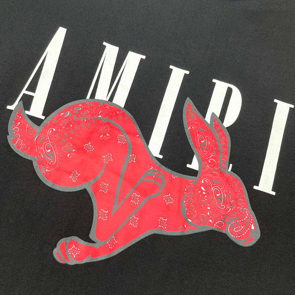 Amiri designer t-shirt full view