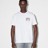 Amiri luxury t-shirt detail shot