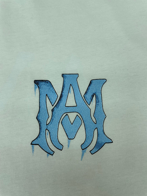 Amiri designer t-shirt full view
