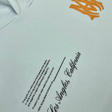 Amiri designer hoodie full view