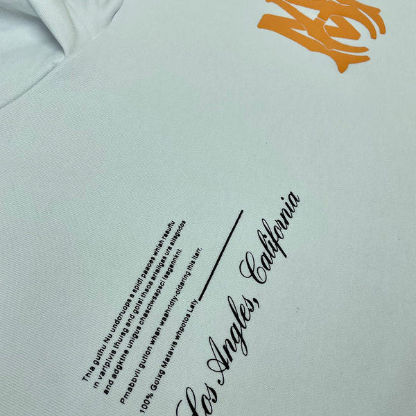 Amiri designer hoodie full view