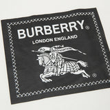Burberry designer t-shirt full view