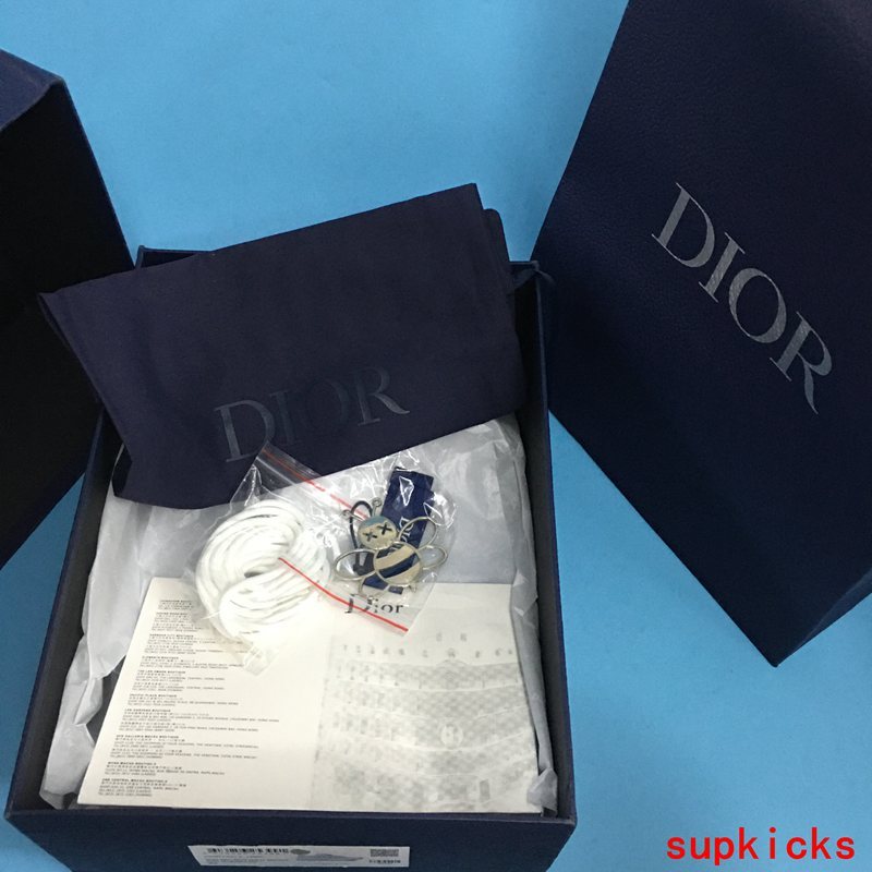 Dior shoes Style 008 - logo and branding close-up (alternate angle)