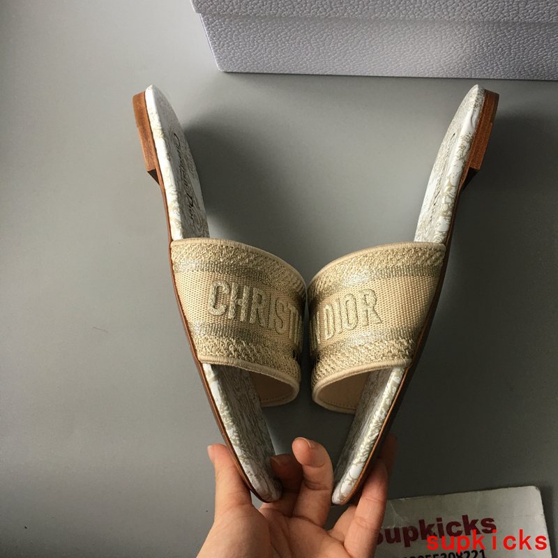 Dior shoes Style 041 - logo and branding close-up (additional angle)