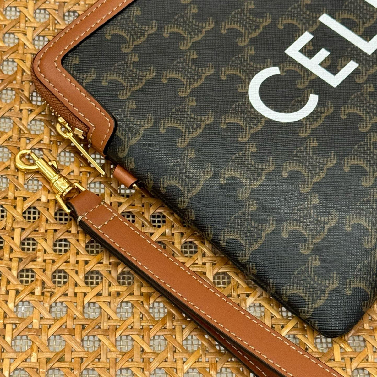 Bags- Cel Small Pouch With Strap Elegant Everyday Designer Handbag