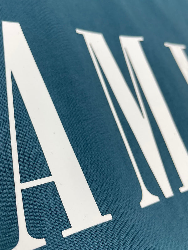Amiri designer t-shirt full view