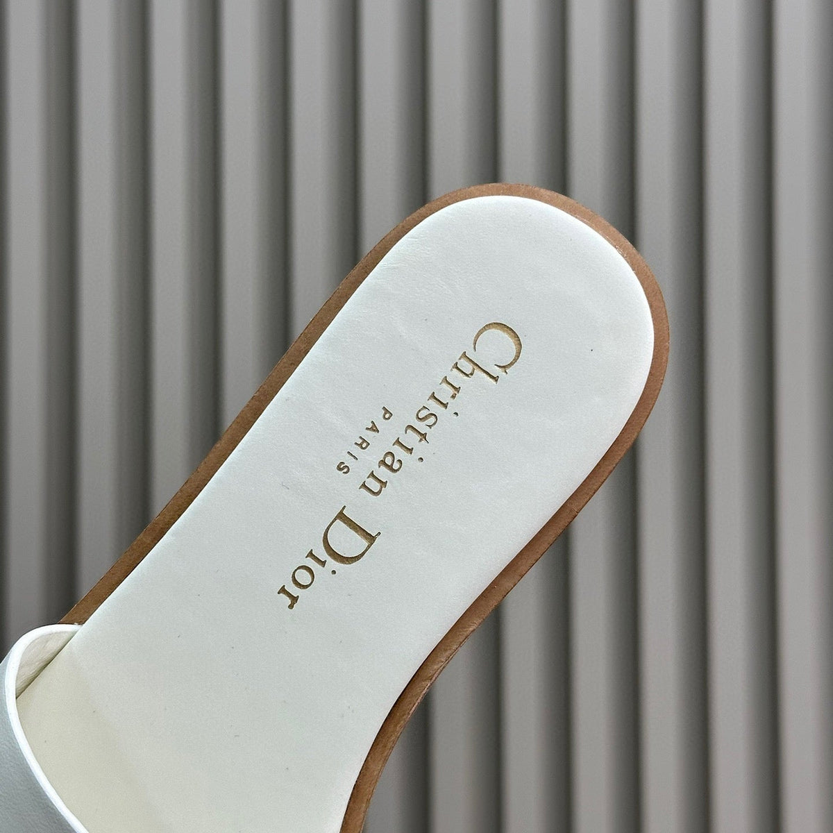 Dior Shoes- Dior Dway Slides Luxury Lifestyle Designer Footwear
