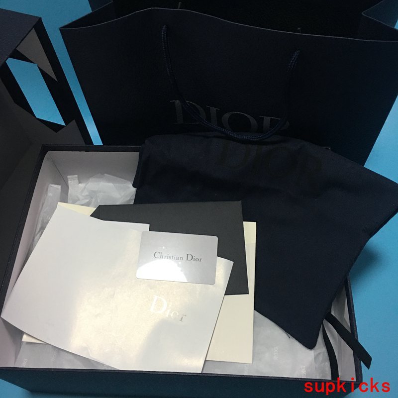 Dior shoes Style 049 - styled lifestyle view (alternate angle)