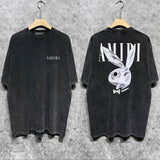 Amiri t-shirt front view designer style