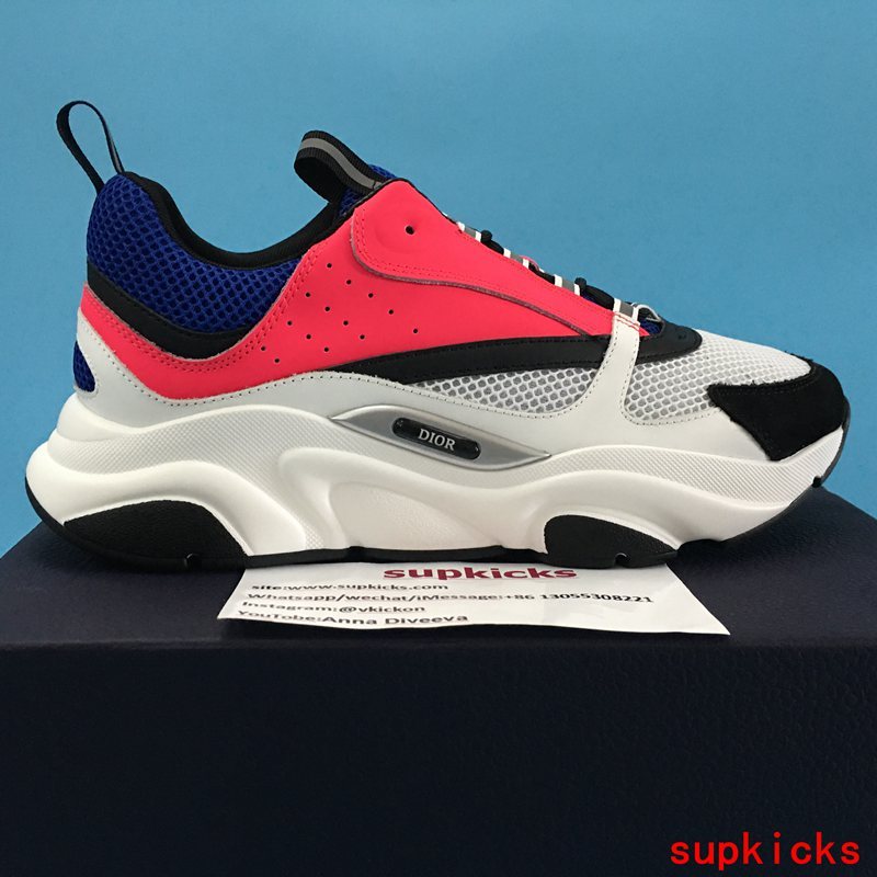 Dior Grey Low-Top Sneakers - Front View