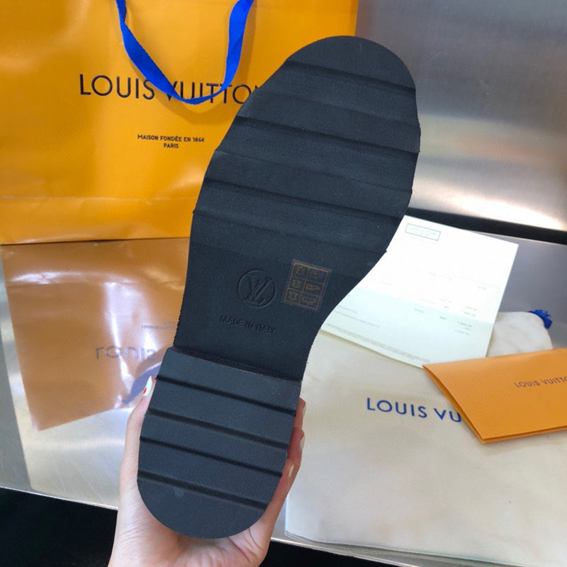 Louis Vuitton designer shoes full view