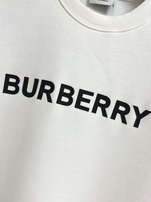 Burberry designer clothing front view designer style