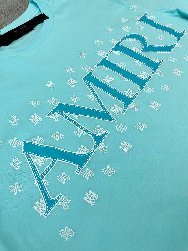 Amiri designer t-shirt full view
