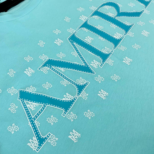 Amiri designer t-shirt full view