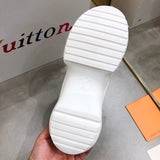 Louis Vuitton shoes Style 274 - packaging and accessories