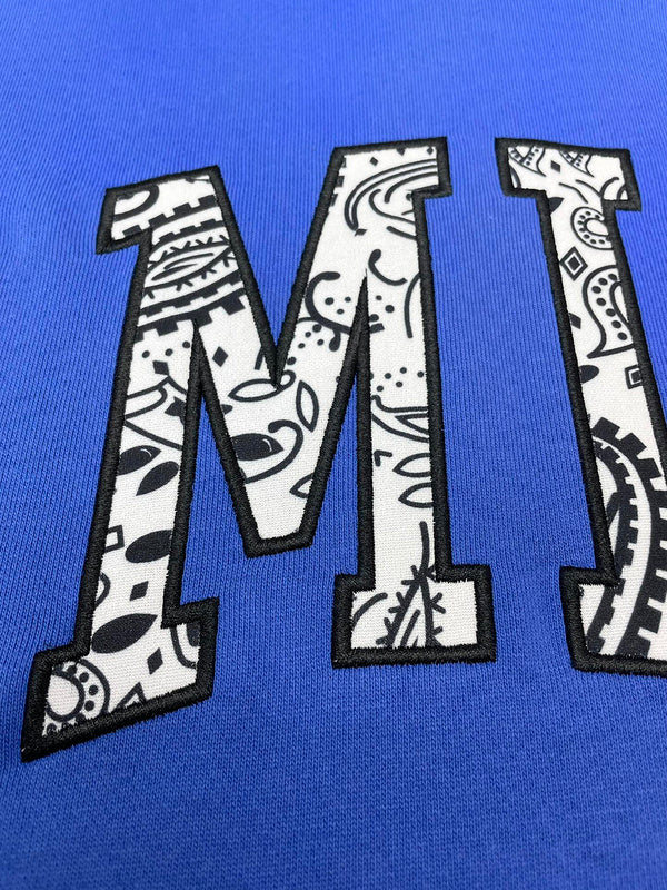 Amiri designer hoodie full view
