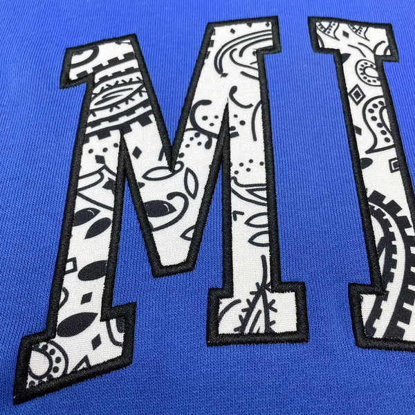 Amiri designer hoodie full view