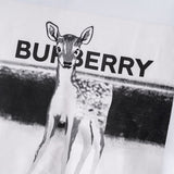 Burberry designer clothing front view designer style