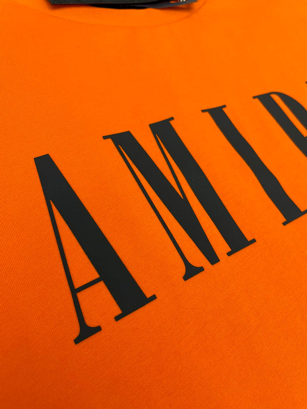 Amiri luxury t-shirt detail shot