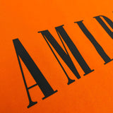 Amiri luxury t-shirt detail shot