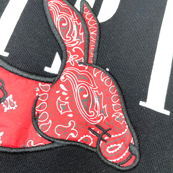 Amiri designer hoodie full view