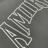 Amiri designer hoodie full view