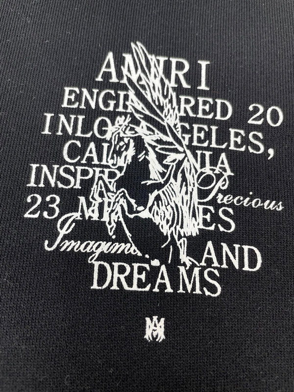 Amiri designer hoodie full view