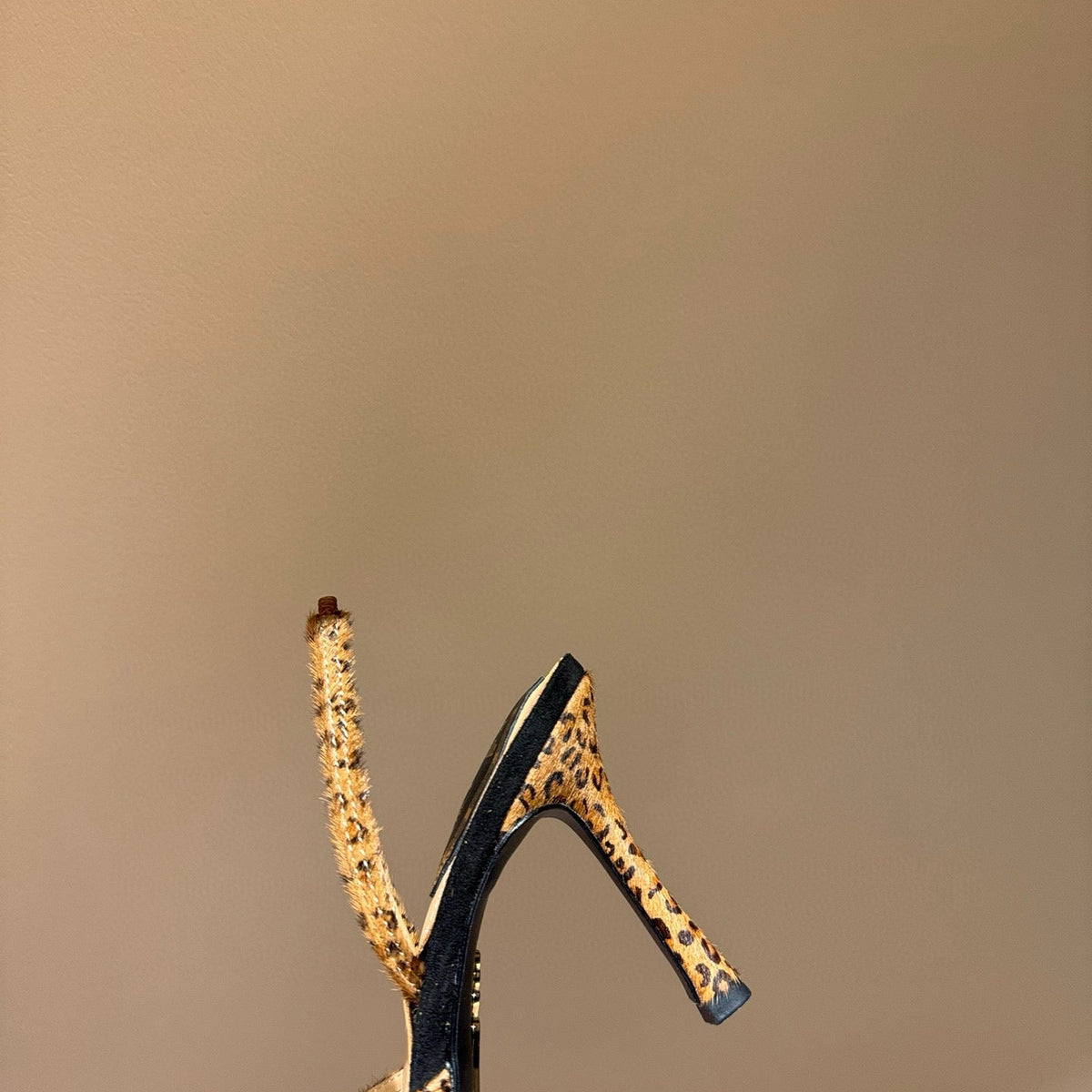 Shoes- Rene C Heels Premium Designer Casual Shoes