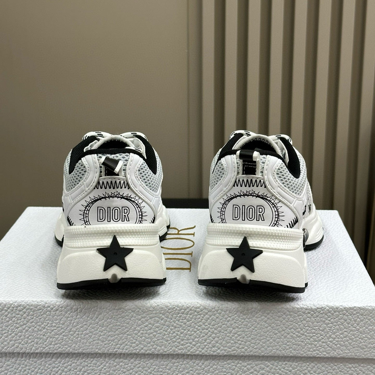 Dior Shoes- Dior Chrono Sneaker Comfortable Everyday Designer Shoes