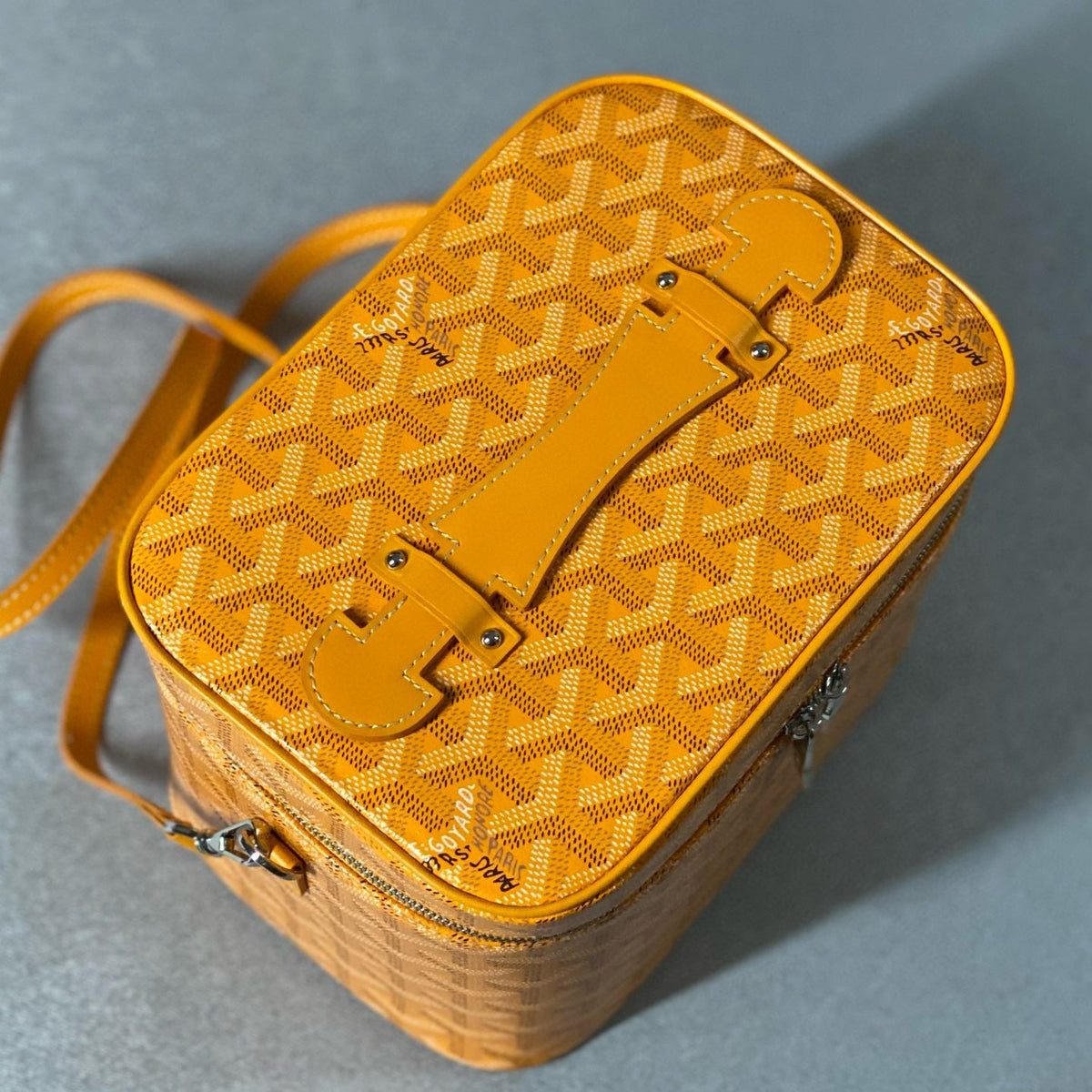 Accessories- Goya Muse Vanity Case Premium Everyday Designer Accessory