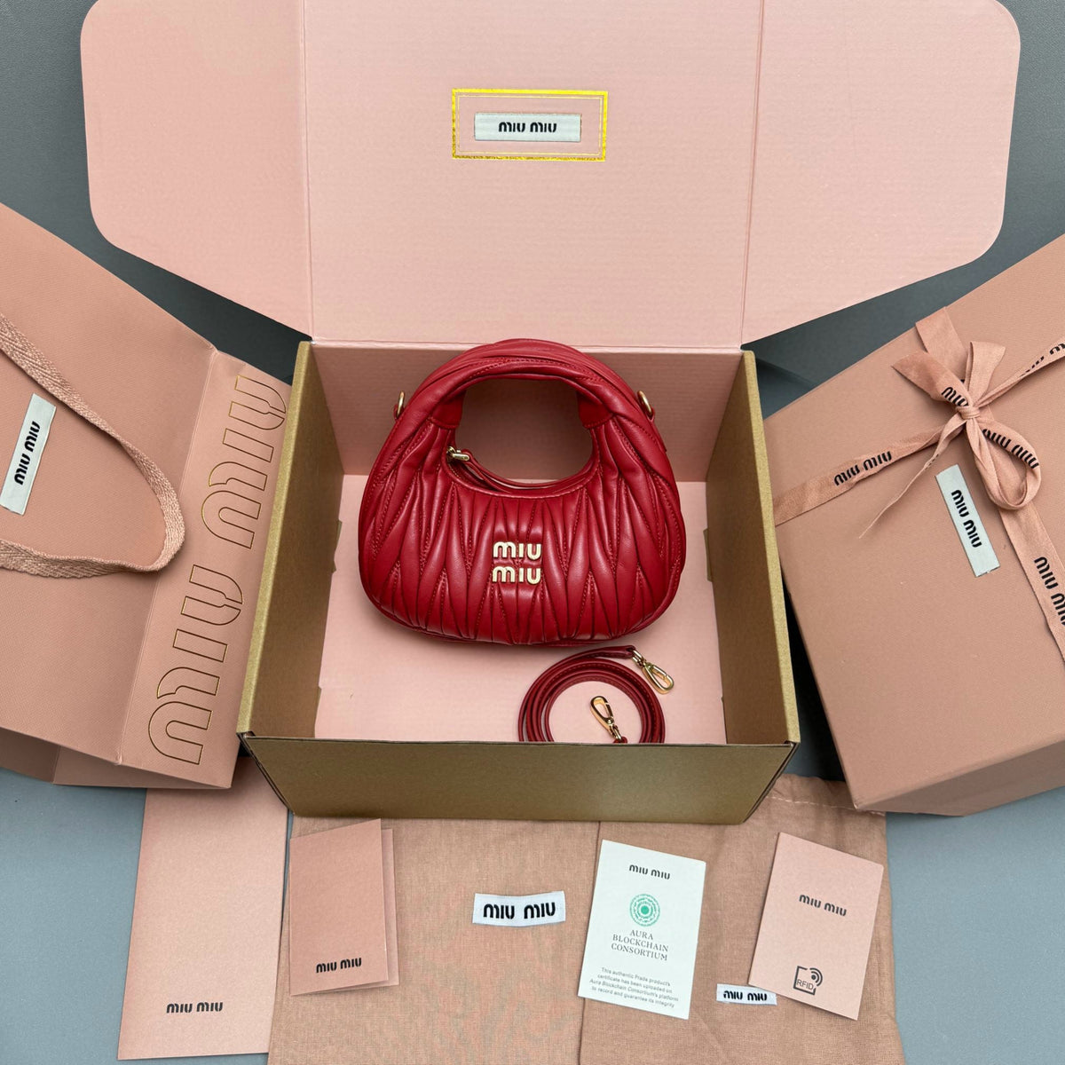 Bags- Miu M Wander Mini Hobo Bag Luxury Designer Leather Handbag