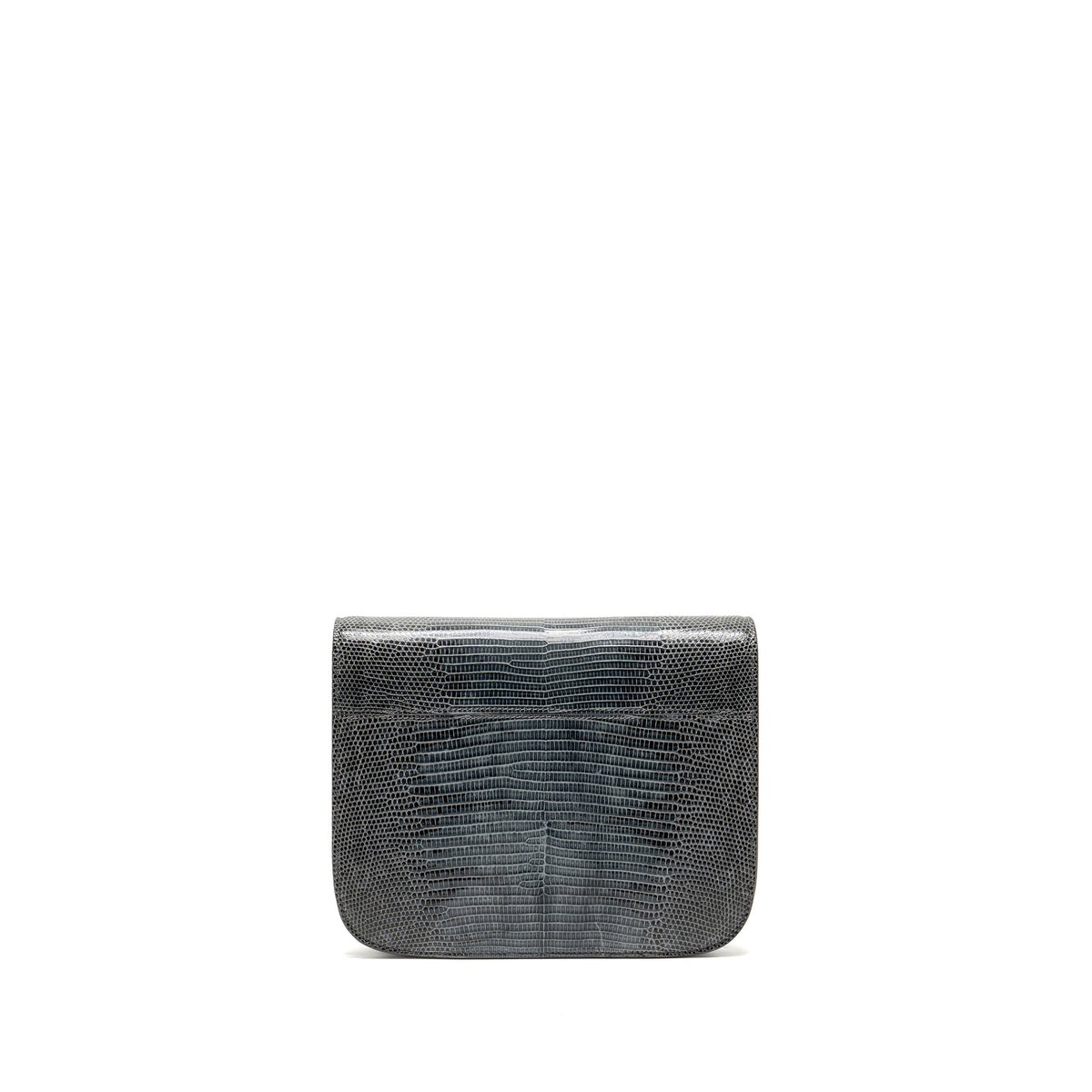 Celine Bags? Celine Medium Box Bag Lizard Grey GHW Luxury Designer Leather Handbag