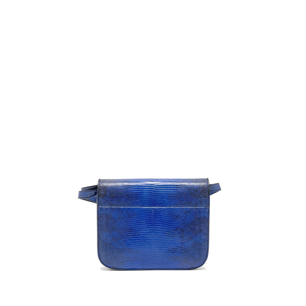 Celine Bags? Celine Medium Classic Box Bag Lizard Blue GHW Luxury Designer Leather Handbag