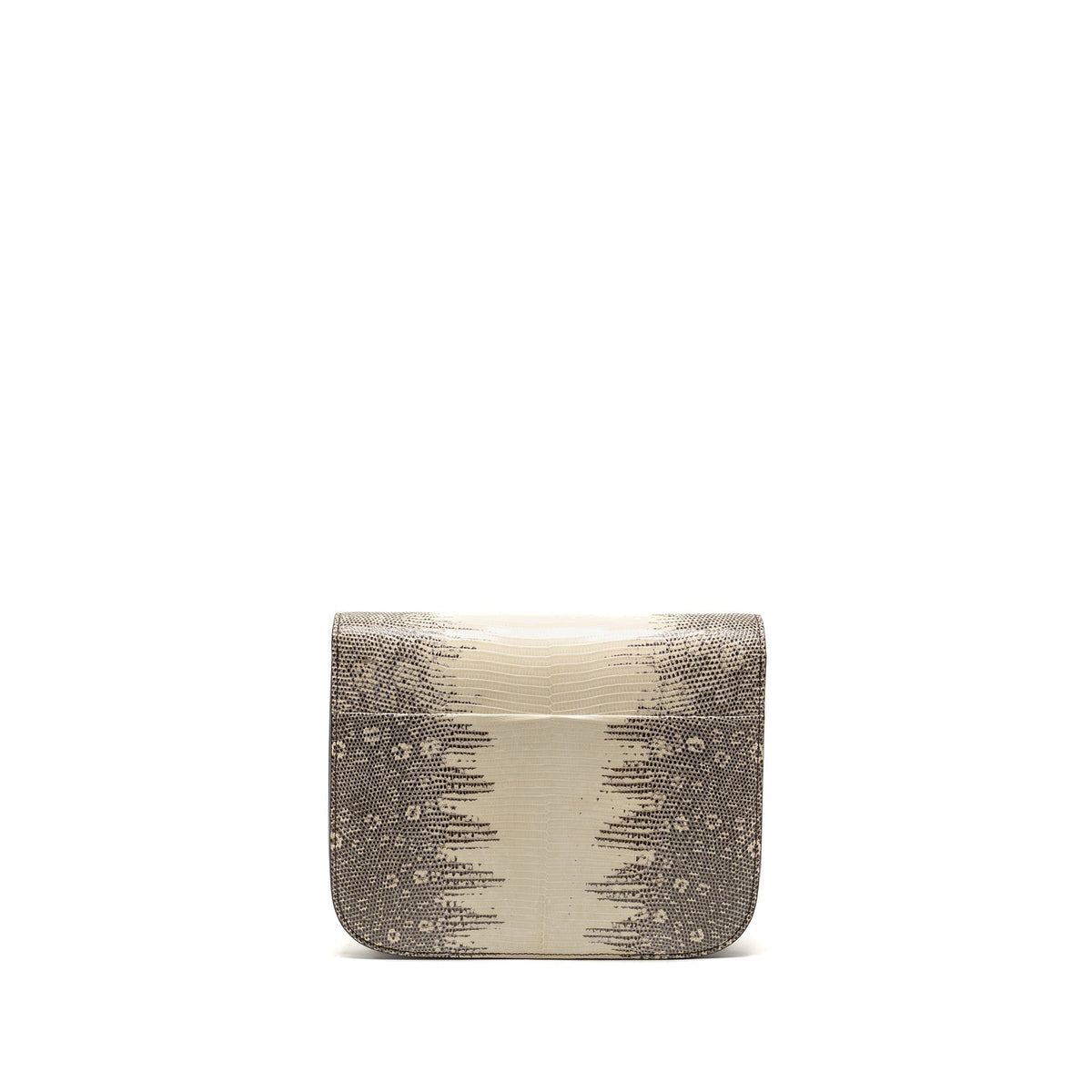 Celine Bags? Celine Medium classic box bag lizard Natural GHW Elegant Everyday Designer Handbag