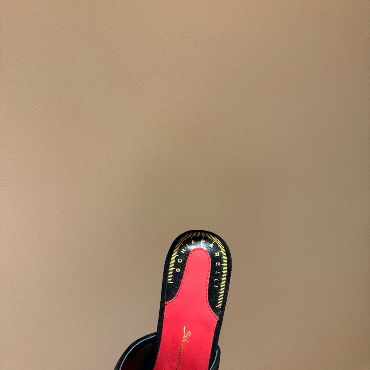 Shoes- Schiaparelli Heels Comfortable Everyday Designer Shoes