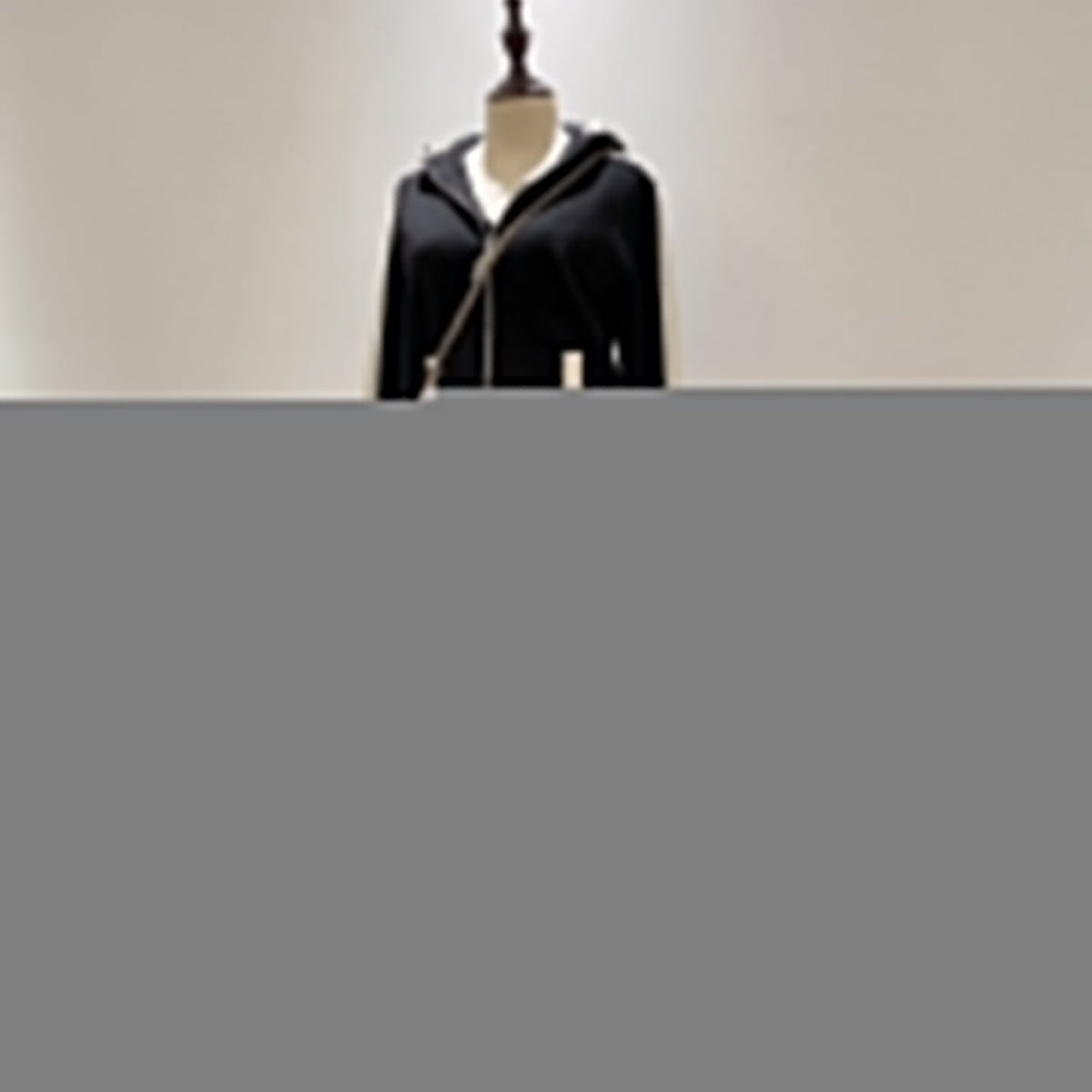 Chanel Hoodies- Chanel Zip Hoodie Premium Designer Casual Hoodie